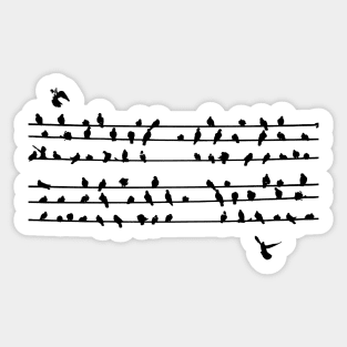 Birds on a wire Sticker